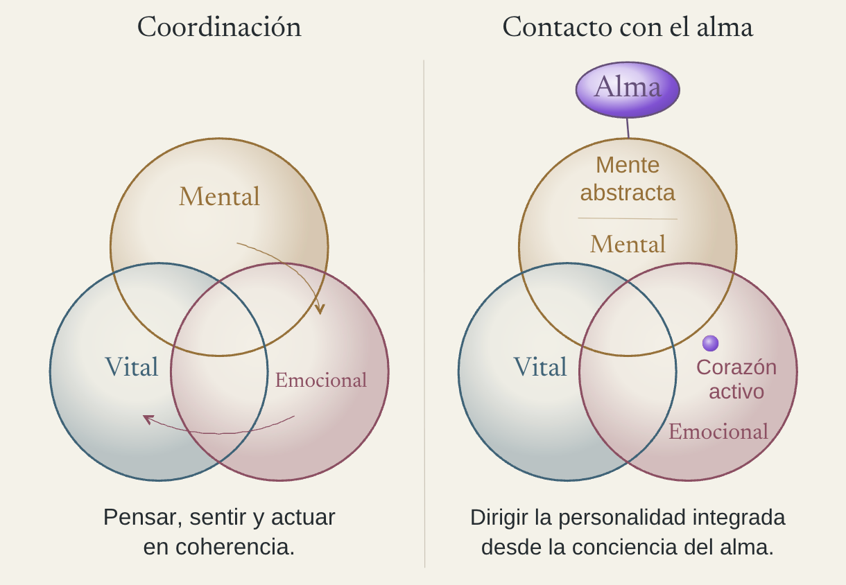 Coordinación de los campos mental, vital y emocional