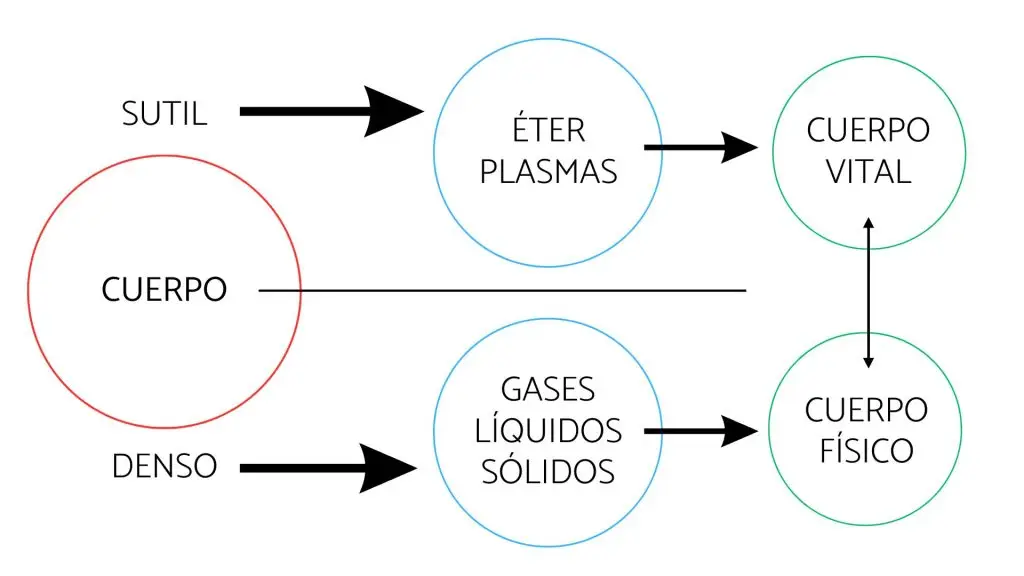 esquema grafico del cuerpo fisico sutil