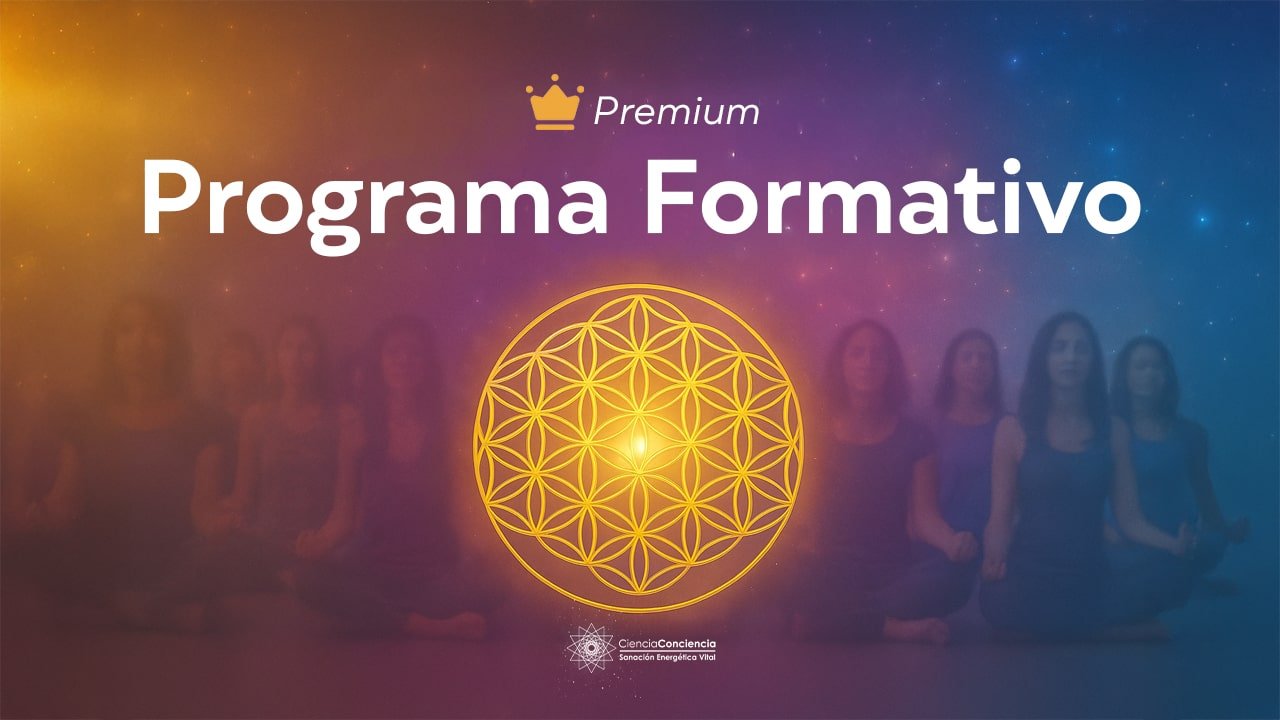 programa formativo miniatura