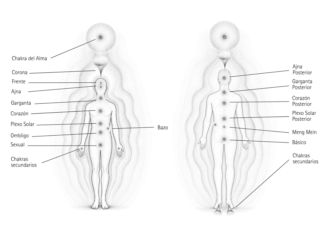 Lámina original del libro: Chakras y centros energéticos